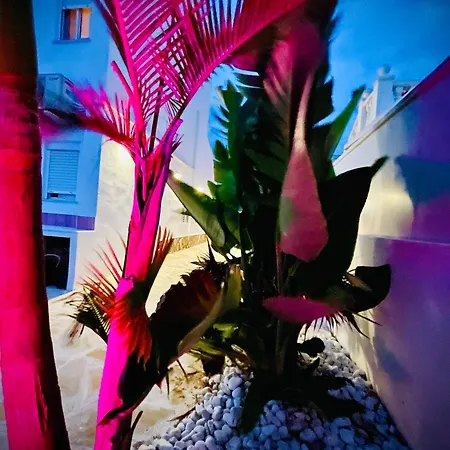 Casa Terranova Beachhouse 別荘